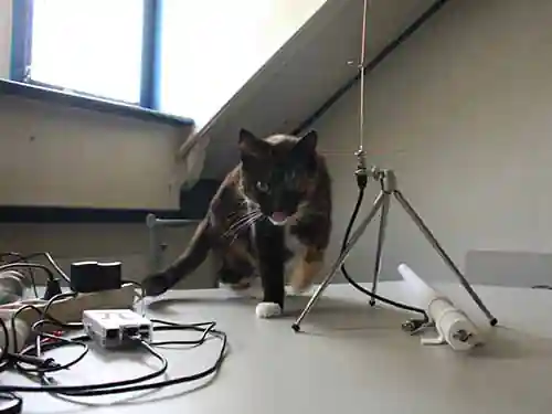 Lab assistant